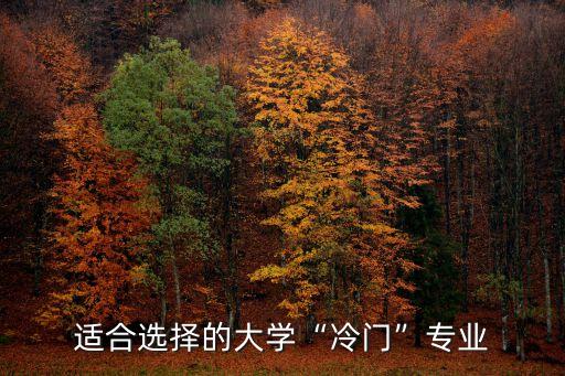 武夷學(xué)院有足球場(chǎng)嗎