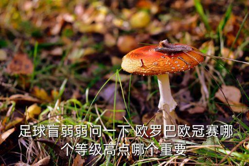  足球盲弱弱問(wèn)一下 歐羅巴歐冠賽哪個(gè)等級(jí)高點(diǎn)哪個(gè)重要