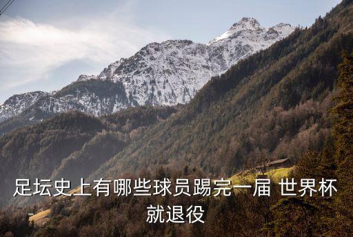 足壇史上有哪些球員踢完一屆 世界杯就退役