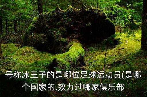 號稱冰王子的是哪位足球運(yùn)動員(是哪個國家的,效力過哪家俱樂部