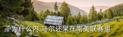 為什么內 馬爾還呆在南美聯(lián)賽里