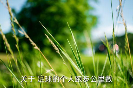 關(guān)于 足球的個(gè)人跑步公里數(shù)
