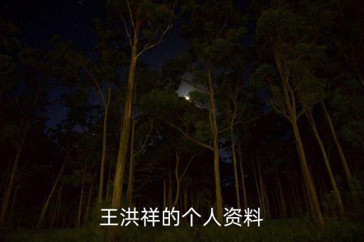 王洪祥的個(gè)人資料