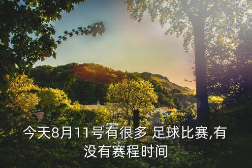 8月足球