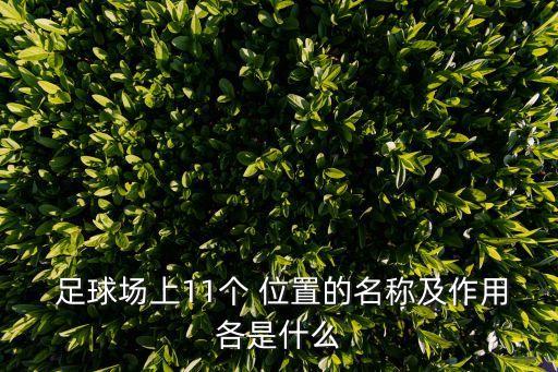  足球場(chǎng)上11個(gè) 位置的名稱及作用各是什么