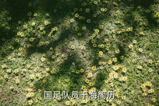 荷蘭足球甲級聯(lián)賽球員