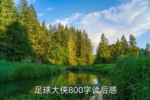  足球大俠800字讀后感