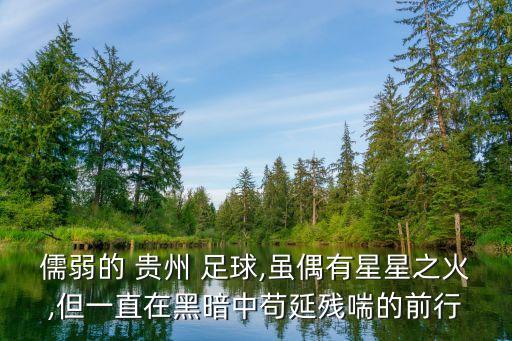 儒弱的 貴州 足球,雖偶有星星之火,但一直在黑暗中茍延殘喘的前行