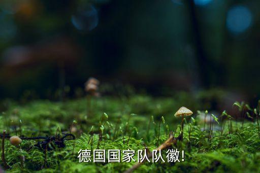 德國足球 教育部,日本和德國足球哪個厲害