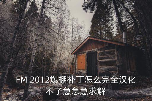 足球經(jīng)理2012中文硬盤(pán)版