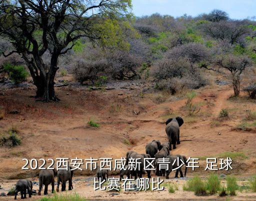 校園足球邀請(qǐng)賽59比0