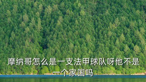  摩納哥怎么是一支法甲球隊(duì)呀他不是一個家國嗎