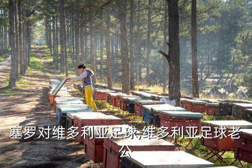 克魯塞羅對維多利亞足球,維多利亞足球老公