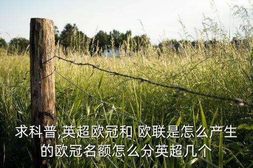 歐聯(lián)足球改革方案,足球改革方案公布后,各中小學(xué)