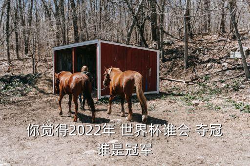 你覺得2022年 世界杯誰會 奪冠誰是冠軍