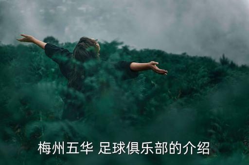 梅州五華 足球俱樂部的介紹