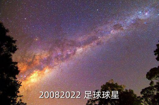 足球現(xiàn)在的十大中鋒,21世紀(jì)十大中鋒足球