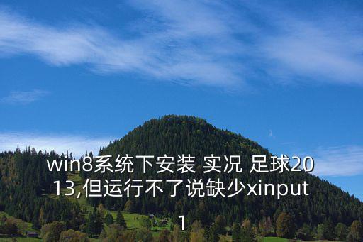 實(shí)況足球13漢化補(bǔ)丁