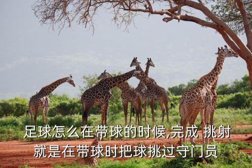  足球怎么在帶球的時候,完成 挑射就是在帶球時把球挑過守門員