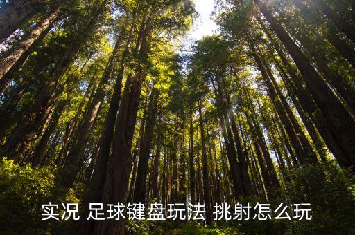 實況 足球鍵盤玩法 挑射怎么玩