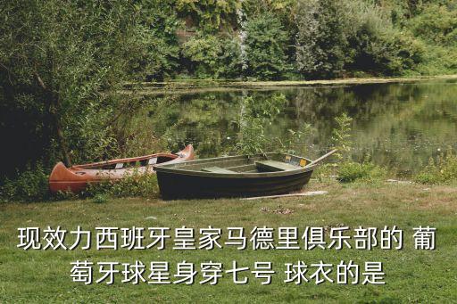 現(xiàn)效力西班牙皇家馬德里俱樂(lè)部的 葡萄牙球星身穿七號(hào) 球衣的是