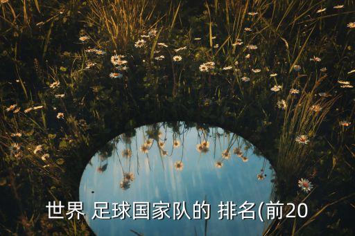 世界 足球國家隊的 排名(前20
