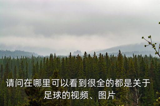 請問在哪里可以看到很全的都是關于 足球的視頻、圖片