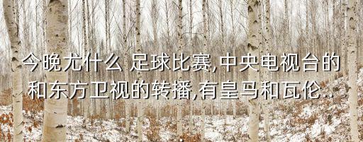 荷蘭與德國足球直播,荷蘭和德國足球哪個厲害