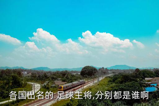 各國出名的 足球主將,分別都是誰啊