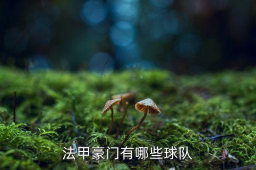 法甲豪門有哪些球隊(duì)
