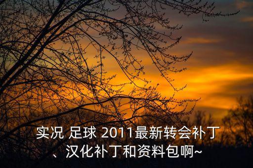  實況 足球 2011最新轉(zhuǎn)會補(bǔ)丁、漢化補(bǔ)丁和資料包啊~