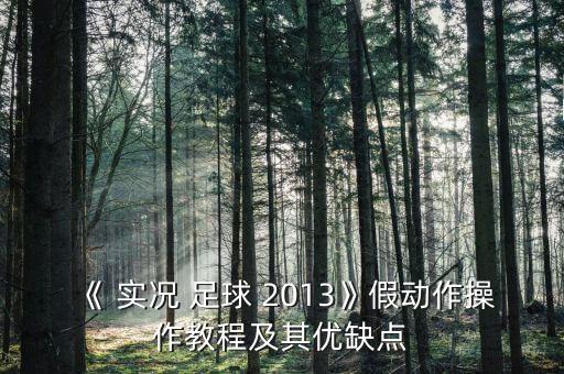 實況足球2013助威