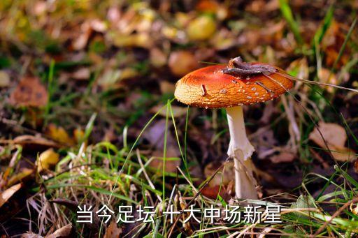 當(dāng)今足壇 十大中場新星
