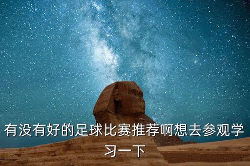雪津杯五人制足球賽,河南省華光杯五人制足球賽