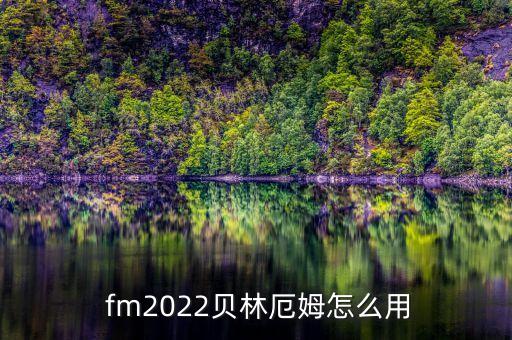  fm2022貝林厄姆怎么用