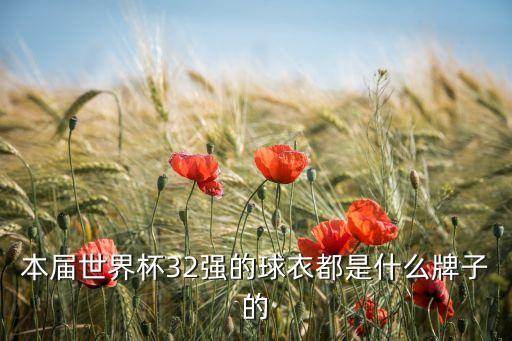 中國足球聯(lián)賽隊(duì)服,中國青少年足球聯(lián)賽