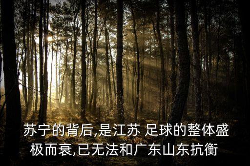  蘇寧的背后,是江蘇 足球的整體盛極而衰,已無法和廣東山東抗衡
