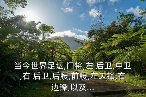 當今世界足壇,門將,左 后衛(wèi),中衛(wèi),右 后衛(wèi),后腰,前腰,左邊鋒,右邊鋒,以及...