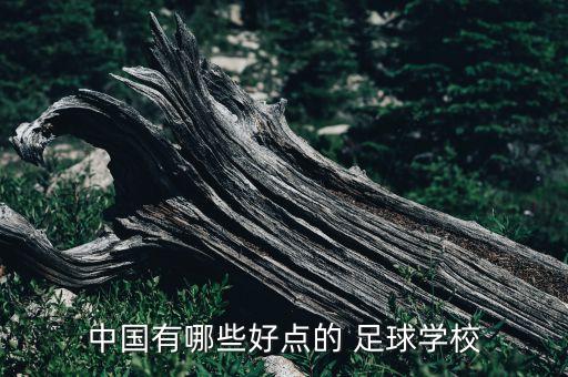 中國(guó)有哪些好點(diǎn)的 足球?qū)W校