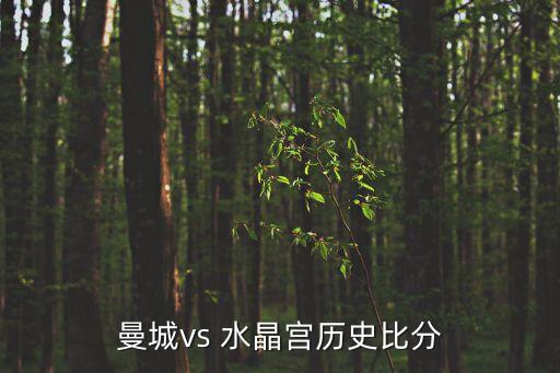 曼城vs 水晶宮歷史比分