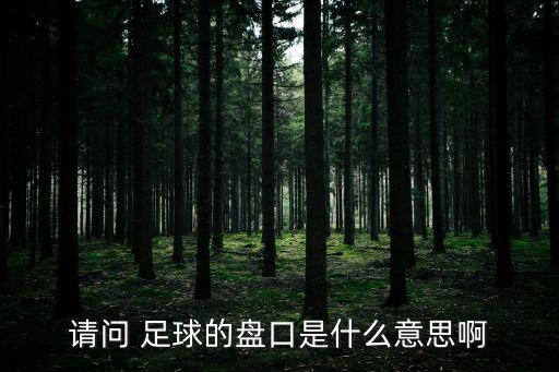 如何看足球盤(pán)囗,足球盤(pán)囗水位app