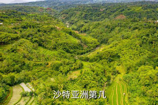 沙特足球國家隊(duì)身高,沙特男子足球國家隊(duì)u20