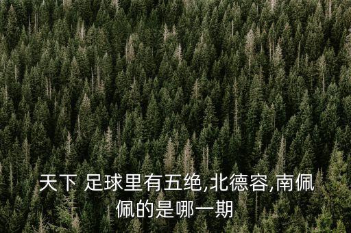  天下 足球里有五絕,北德容,南佩佩的是哪一期