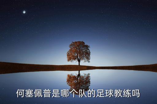 何塞佩普是哪個隊的足球教練嗎