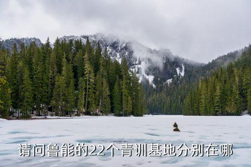 請問魯能的22個青訓基地分別在哪
