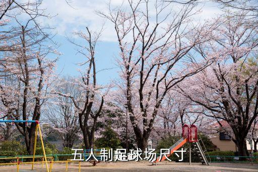 五人制足球場(chǎng)尺寸