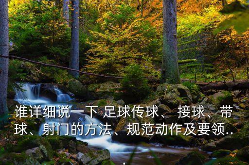 誰詳細說一下 足球傳球、 接球、帶球、射門的方法、規(guī)范動作及要領(lǐng)...