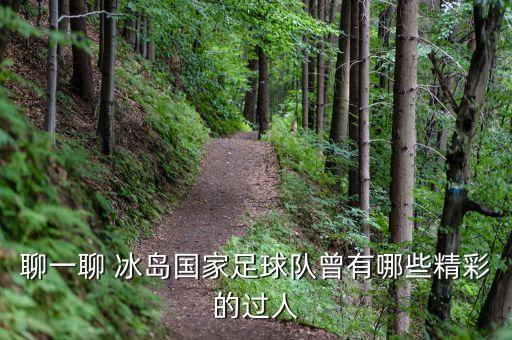 聊一聊 冰島國家足球隊(duì)曾有哪些精彩的過人