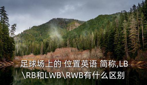  足球場上的 位置英語 簡稱,LB\RB和LWB\RWB有什么區(qū)別