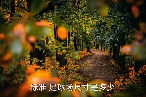 標(biāo)準(zhǔn) 足球場尺寸是多少